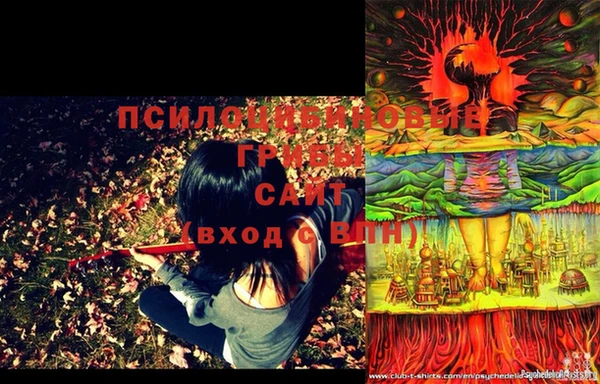 мефедрон Богородицк