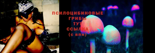 мдма Богданович