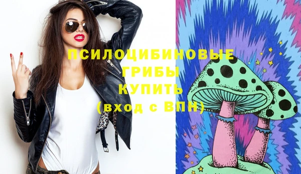 мдма Богданович