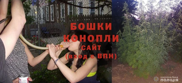 ECSTASY Богородск