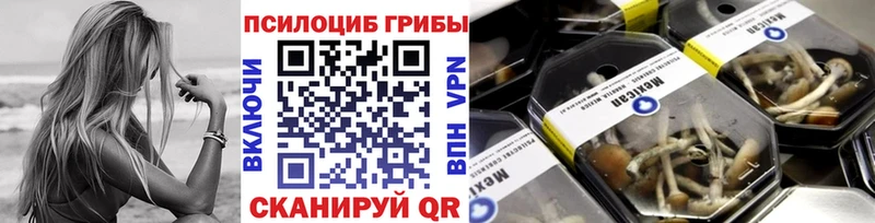 Псилоцибиновые грибы Psilocybine cubensis  Гороховец 