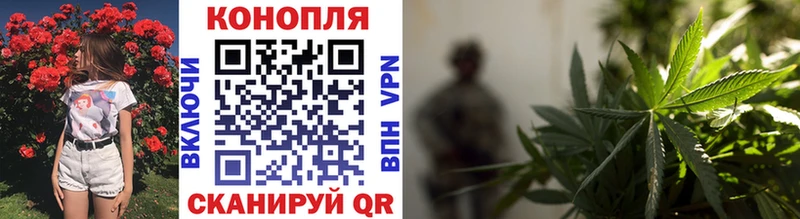 Конопля OG Kush Гороховец